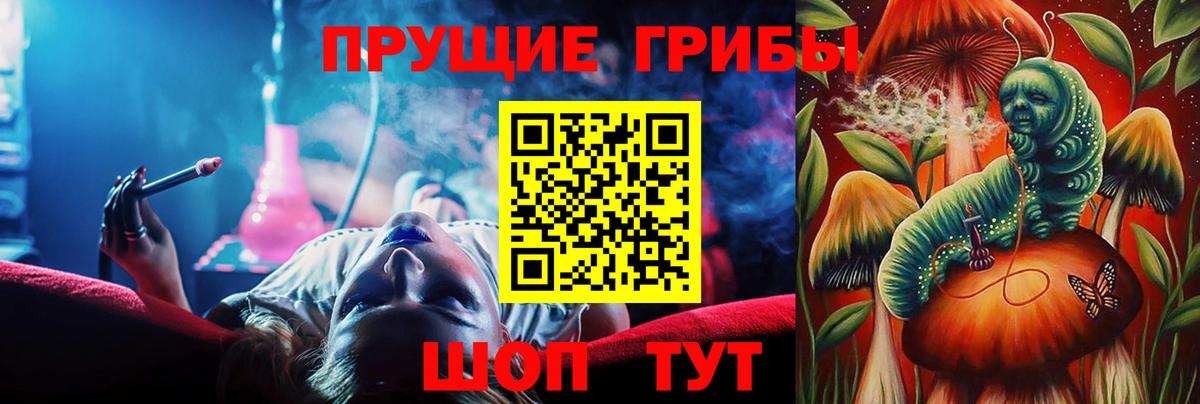 Зеленогорск  Галлюциногенные грибы MAGIC MUSHROOMS  Вход с VPN  Псилоцибиновые грибы прущие грибы 